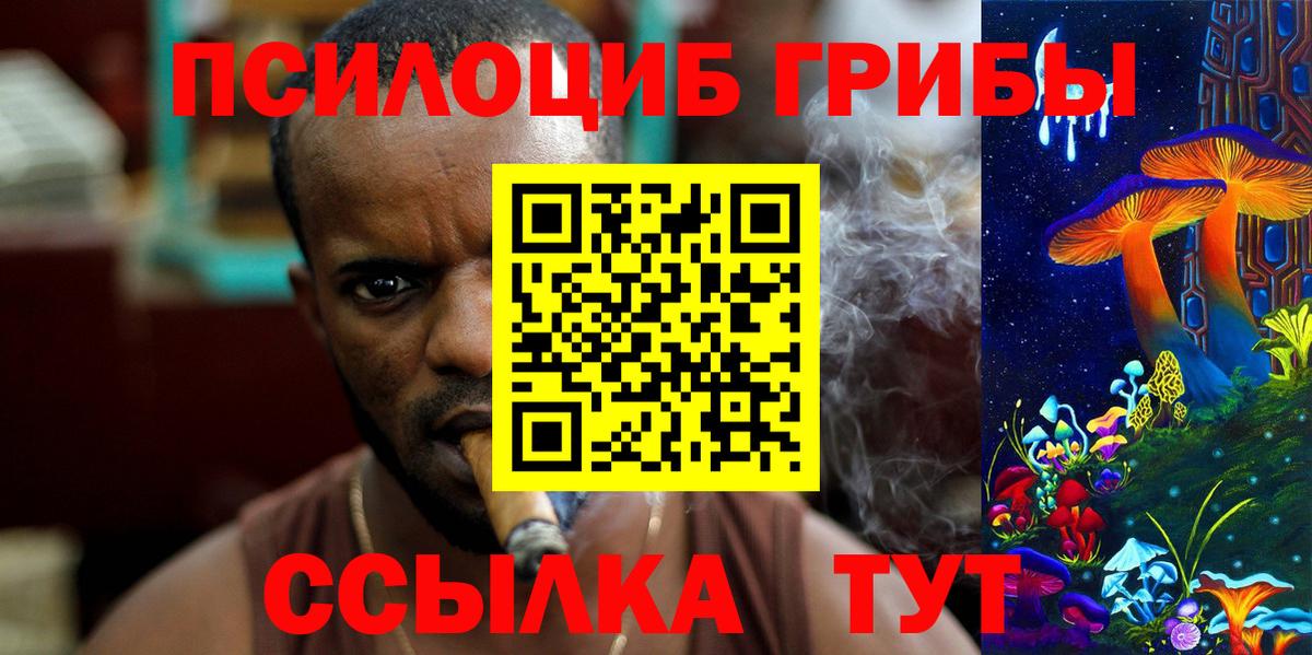 Псилоцибиновые грибы Psilocybe  наркошоп  Вход с VPN  Новошахтинск  Псилоцибиновые грибы мухоморы 